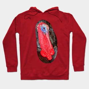 Tom Turkey Hoodie